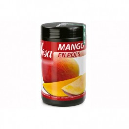 ПУДРА МАНГО (700 GR.)
